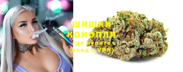 сатива Армянск