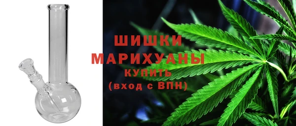 PSILOCYBIN Аркадак