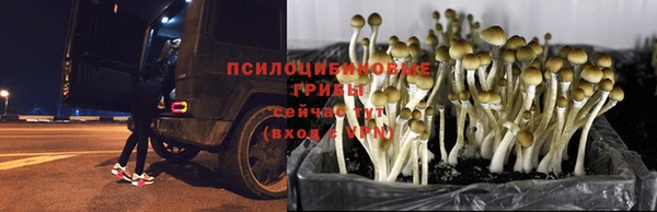 марихуана Арсеньев