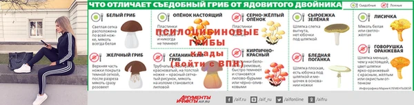 сатива Армянск