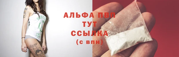 PSILOCYBIN Аркадак