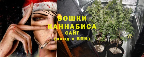 сатива Армянск
