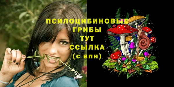 сатива Армянск