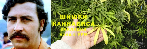 сатива Армянск