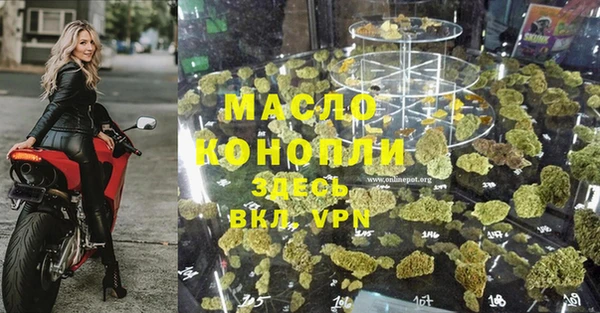 сатива Армянск