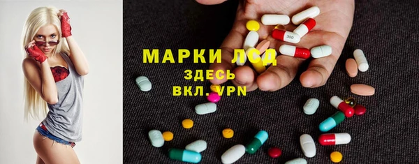PSILOCYBIN Аркадак