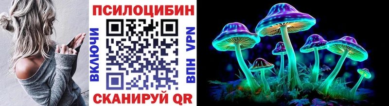OMG сайт  Усть-Джегута  Галлюциногенные грибы Psilocybe 